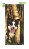 Wallpaper For Doors Dog In The Forest P6