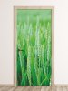 Wallpaper For Door For Wheat Field Fp 1810