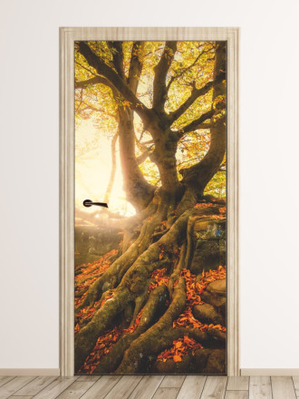 Wallpaper for doors for old trees in the sun fp 6082