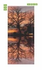 Wallpaper For Doors Tree Silhouettes Fp 6153