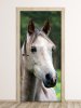 Wallpaper For Door Grey Horse Fp 2625 D