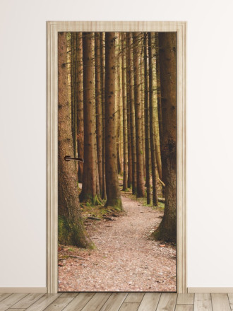 Wallpaper For Doors In Dense Forest Fp 6033