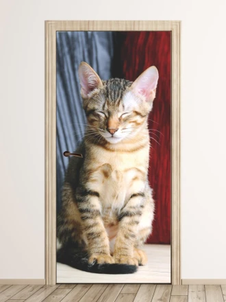 Wallpaper For Door Relaxed Cat P57