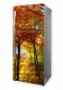 Photo Wallpaper For Fridge Color Autumn P20