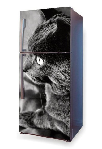 Wallpaper for fridge black cat p13