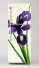 Wallpaper For Fridge Iris P63