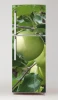 Fridge Mural Wallpaper Apple P469