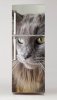 Wallpaper for fridge cat p17