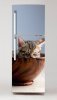 Wallpaper For Fridge Cat In A Bowl P56