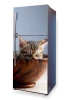 Wallpaper For Fridge Cat In A Bowl P56