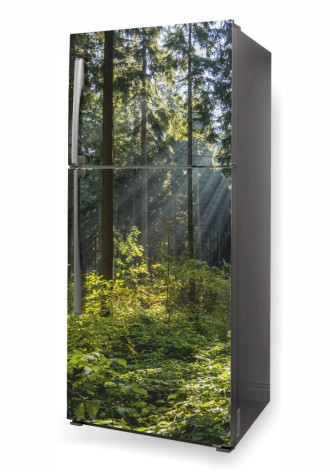 Fridge Wallpaper Forest P471