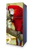 Photo Wallpaper For Fridge Parrot P21