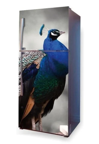 Wallpaper For P31 Peacock Fridge