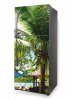 Wallpaper For Fridge Coconut Palm P476