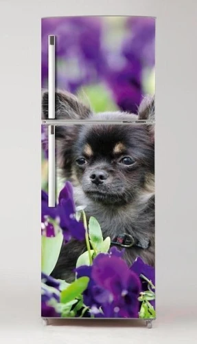 Wallpaper For Fridge Dog In Flowers P18