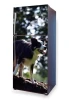 Wallpaper For Fridge For A Walk With A Dog P7