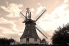 Wallpaper White And Blue Windmill Fp 5654
