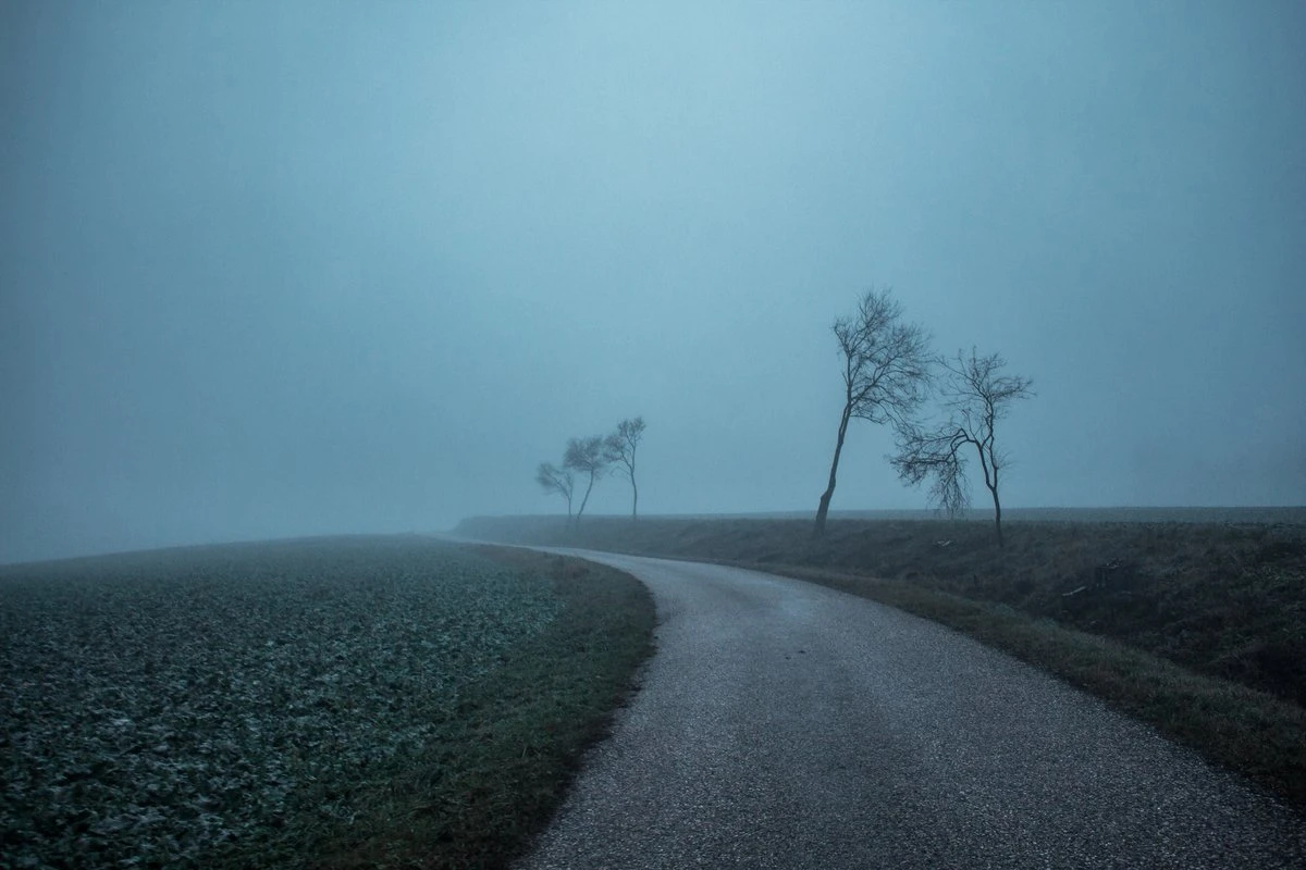 Wallpaper Rain Wallpapermorning On A Dirt Road Fp 4316