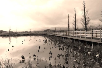Wallpaper Long Bridge Over The Autumn Lake Fp 4516
