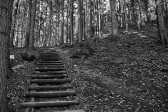Wallpaper Wooden Stairs In The Mountains Fp 4802