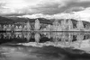 Wallpaper A Wall Of A Tree On The Shore Of A Lake Reflected In The Surface Of Water Fp 4899