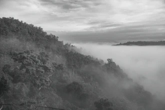 Wallpaper Mountains In Fog Fp 6468