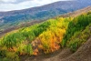 Wallpaper The Wall Of Autumn Hills Fp 5763