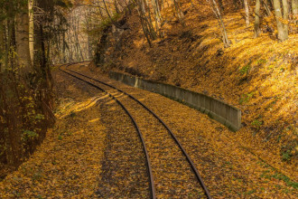 Wallpaper the autumn wall trail fp 3329
