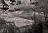 Wallpaper Of A Tree Crown Under A Stormy Sky Fp 3990