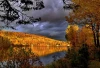 Wallpaper Of A Tree Crown Under A Stormy Sky Fp 3990