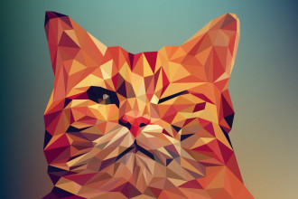 Wallpaper Cat Fp 6434