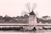 Wallpapers windmill with red roof fp 4760