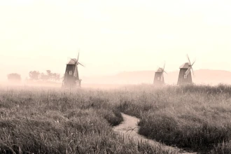 Windmill Wallpaper Fog Fp 4023