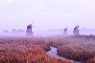 Windmill Wallpaper Fog Fp 4023