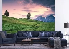 Wallpapers for living room and room