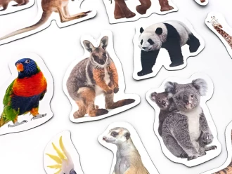 Magnets Meets Exotic Animals