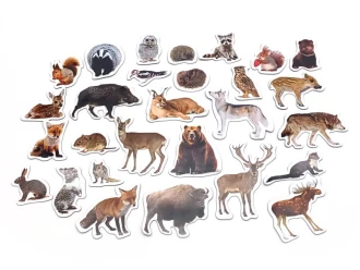 Magnets Meets Forest Animals