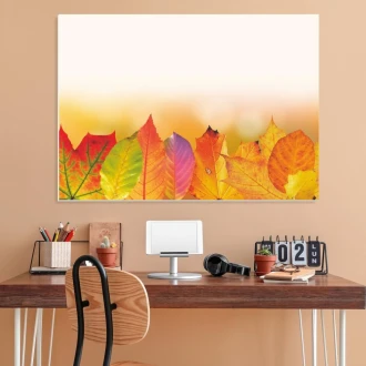 Magnetic Whiteboard Autumn Leaves 245