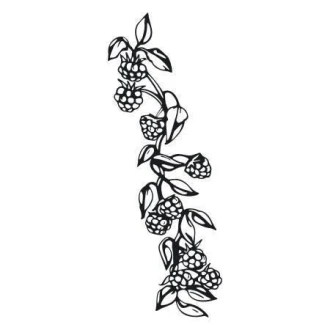 03X 02 Blackberries 1777 Sticker