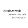 03X 25 Quotation: Doświadczenie Jest Mistrzynią Życia 1768 Sticker