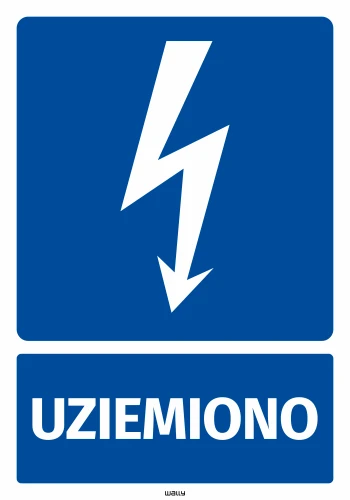 Health & Safety Sticker: Grounded, with lightning pictogram