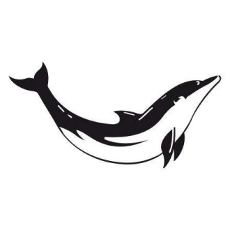 Dolphin 1685 Sticker