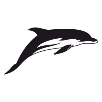 Dolphin 1686 Sticker