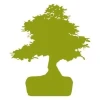 Bonsai Tree 1674 Sticker