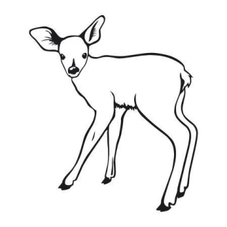 Sticker For Deer 2138