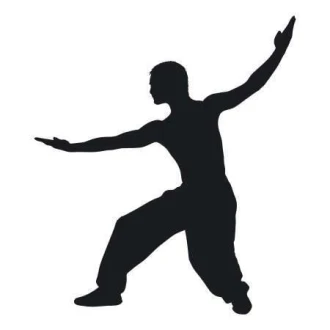 Karate 1868 Sticker