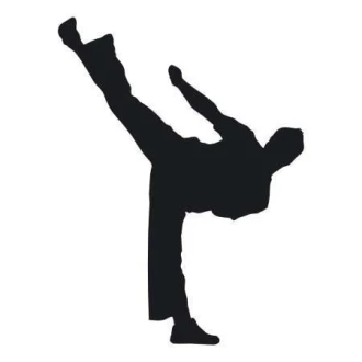 Karate 1861 Sticker