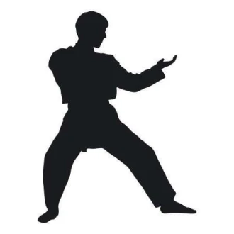 Karate 1863 Sticker