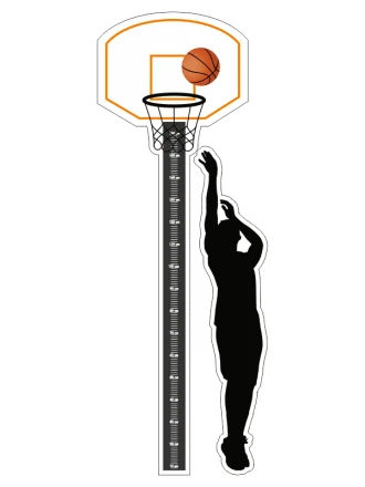Height Growth Chart Basketball Player 2242