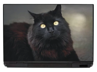 Laptop Sticker Black Cat P437